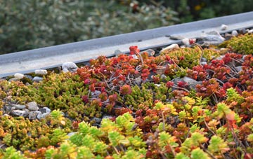 the cost of Langore green roof installation