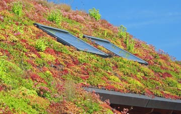 Langore living roof systems