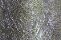 Langore fibreglass roof work